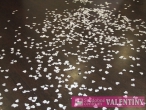  vystrelovacie konfety srdiečka biele 60cm