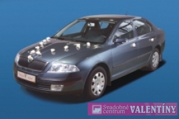 svadobn&aacute; ozdoba na auto 10kusov